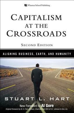 Capitalism at the Crossroads Aligning Business, Earth, and Humanity 2nd 9780136134398 Front Cover