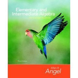 Elementary and Intermediate Algebra for College Students