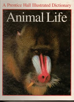 Animal Life Animal Life