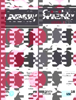 Connectivity Level 3 Teacher's Book and Lesson Planner