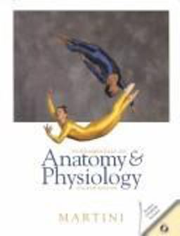 Fundamentals of Anatomy and Physiology Fundamentals of Anatomy and Physiology