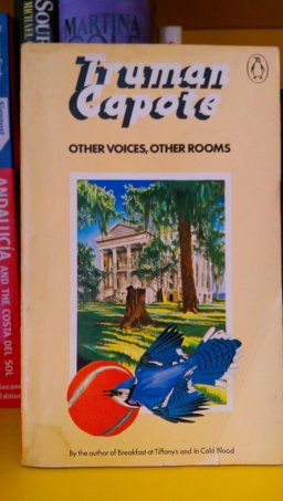 Other Voices, Other Rooms
