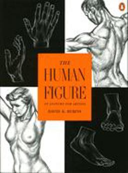 Human Figure An Anatomy for Artists  9780140042436 Front Cover