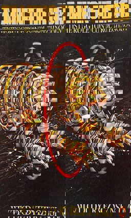 Taming the Tiger Taming the Tiger