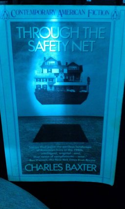 Through the Safety Net