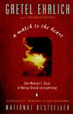 Match to the Heart One Woman's Story of Being Struck by Lightning  9780140179378 Front Cover