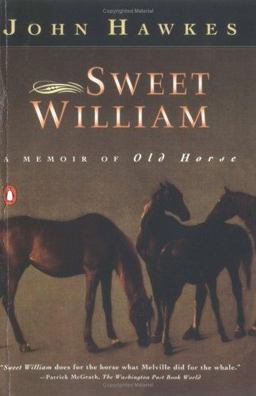 Sweet William
