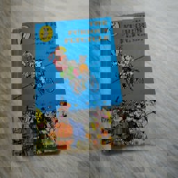 The Furious Flycycle The Furious Flycycle