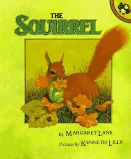 The Squirrel