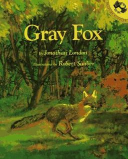 Gray Fox