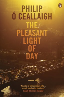 Pleasant Light of Day  9780141038094 Front Cover