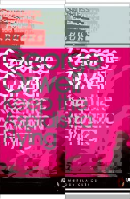 Modern Classics Keep the Aspidistra Flying