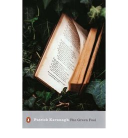 The Green Fool (Penguin Modern Classics)  9780141184203 Front Cover