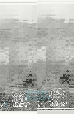 Heron  9780141192147 Front Cover