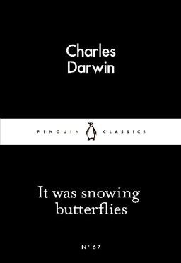 It Was Snowing Butterflies