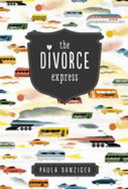 The Divorce Express