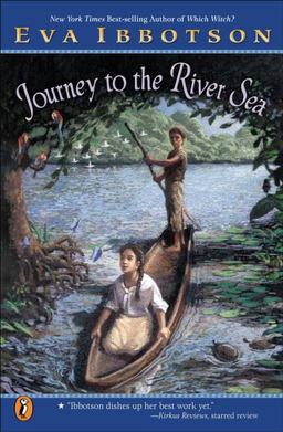 Journey to the River Sea  9780142501849 Front Cover
