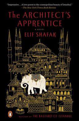 Architect's Apprentice A Novel  9780143108306 Front Cover
