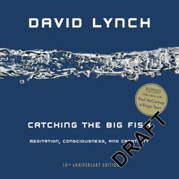 Catching the Big Fish Meditation, Consciousness, and Creativity: 10th Anniversary Edition 10th 9780143130147 Front Cover