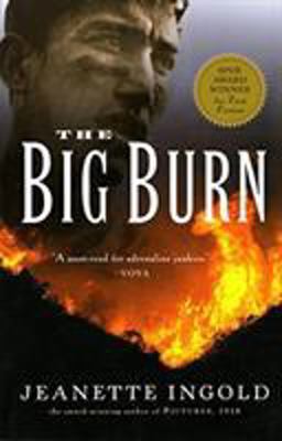 Big Burn  9780152049249 Front Cover