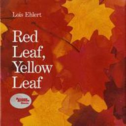 Red Leaf, Yellow Leaf  9780152661977 Front Cover