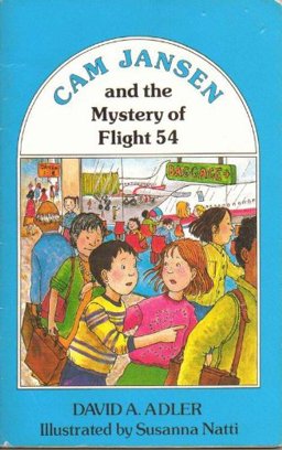The Mystery of Flight 427