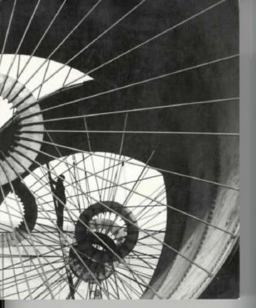 The National Experience