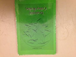 Developing College Reading