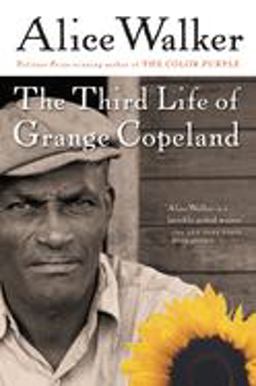 Third Life of Grange Copeland  9780156028363 Front Cover