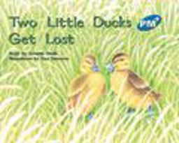 Two Little Ducks Get Lost