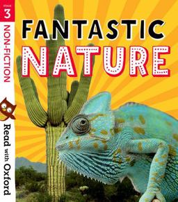 Fantastic Nature, Stage 3