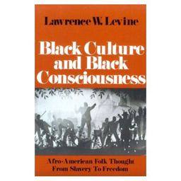 Black Culture and Black Consciousness Afro-American Folk Thought from Slavery to Freedom  9780195023749 Front Cover