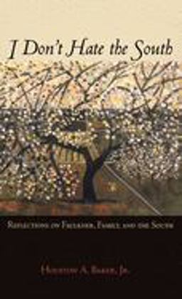 I Don't Hate the South