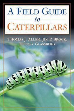 Caterpillars in the Field and Garden A Field Guide to the Butterfly Caterpillars of North America  9780195149876 Front Cover