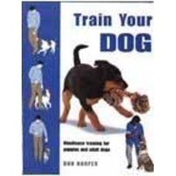 Introduction to Philosophy