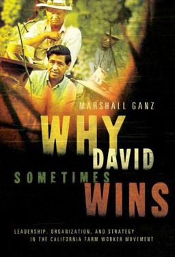 Why David Sometimes Wins Leadership, Organization, and Strategy in the California Farm Worker Movement  9780195162011 Front Cover