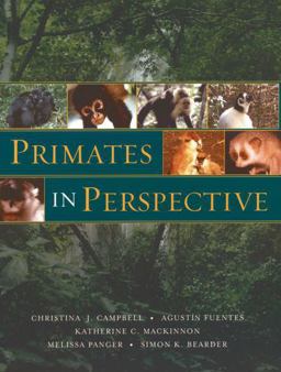 Primates in Perspective  9780195171334 Front Cover