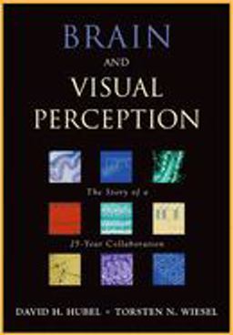 Brain and Visual Perception The Story of a 25-Year Collaboration  9780195176186 Front Cover