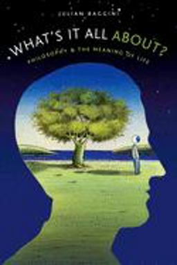 What's It All About? Philosophy and the Meaning of Life  9780195300086 Front Cover
