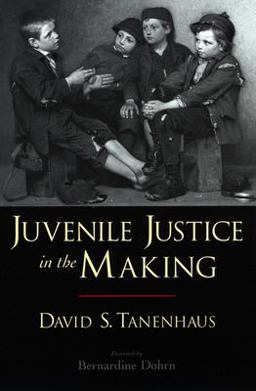 Juvenile Justice in the Making  9780195306507 Front Cover