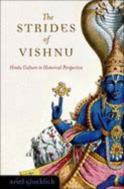 Strides of Vishnu Hindu Culture in Historical Perspective  9780195314052 Front Cover