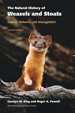 Natural History of Weasels and Stoats Ecology, Behavior, and Management 2nd 9780195322712 Front Cover