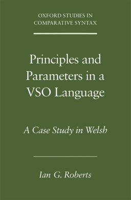 Principles and Parameters in a VSO Language