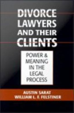 Divorce Lawyers and Their Clients