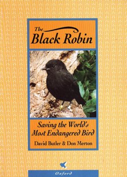 The Black Robin