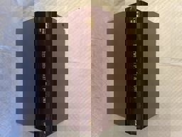 Between Past and Future Between Past and Future