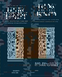 New Testament A Historical Introduction to the Early Christian Writings 8th 9780197754023 Front Cover