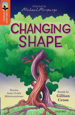 Changing Shape, Level 13