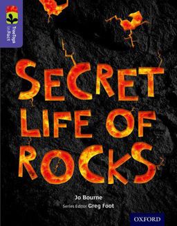 Secret Life of Rocks, Level 11