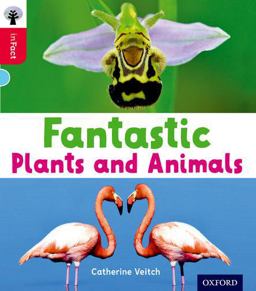 Fantastic Plants and Animals, Level 4